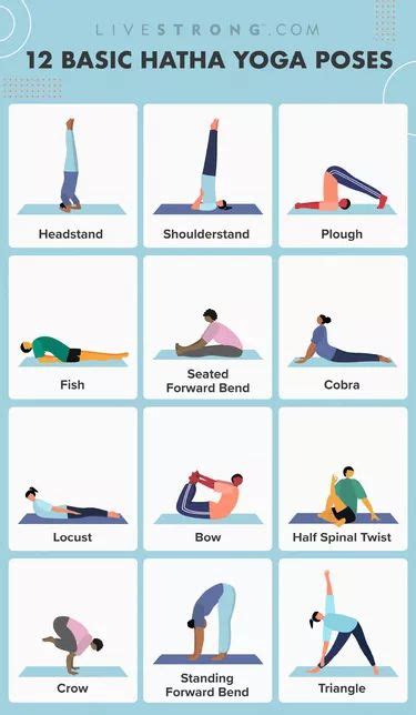 How To Do The 12 Basic Hatha Yoga Poses With Perfect Form Livestrong