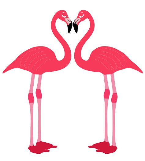 Flamingo Birds Love Heart Free Stock Photo Public Domain