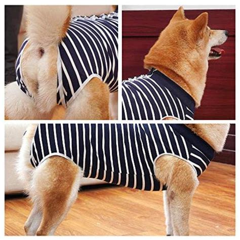 Dog Recovery Suit Abdominal Wound Protector Puppy Medical Blue Stripe