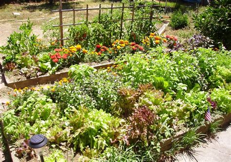 Space is small but there are ways to overcome this hurdle and one such way is by planting my vegetables in raised bed. Gardening Tips on Layout & Planning for Your First ...