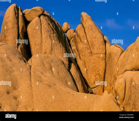 Balanced Rock Joshua Tree National Park California Stock Photo Alamy