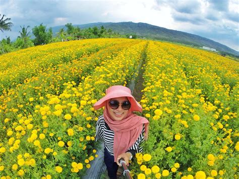Gambar Taman Bunga Terindah Di Indonesia Pickini