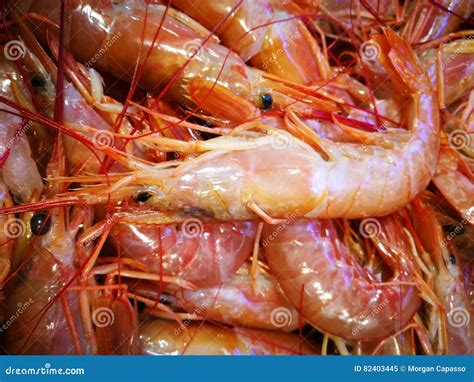 Shrimp In Fish Market Stock Image Image Of Uncooked 82403445