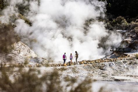 Hells Gate Geothermal Reserve Mud Spa Rotorua Nz Online Travel