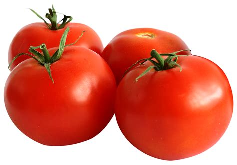 Collection Of HQ Tomato PNG PlusPNG