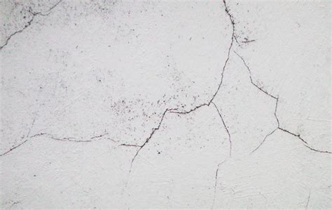 5 Easy And Affordable Ways To Fix Cracked Walls Flokq Coliving Blog
