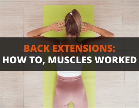 Back Extensions How To Muscles Worked And Alternatives