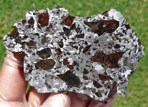 Mpod 130620 From Tucson Meteorites