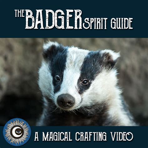 The Badger Spirit Guide Ask The Spirit Guides Oracle Totem Animal