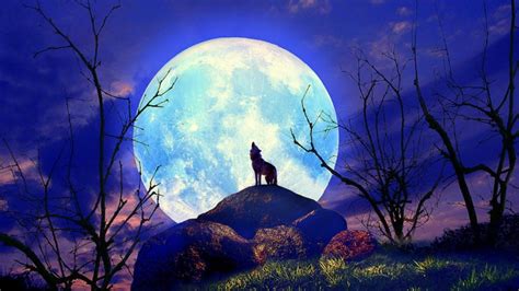Howling Wolf Howling Darkness Drawing Night Branch Sky 1080p