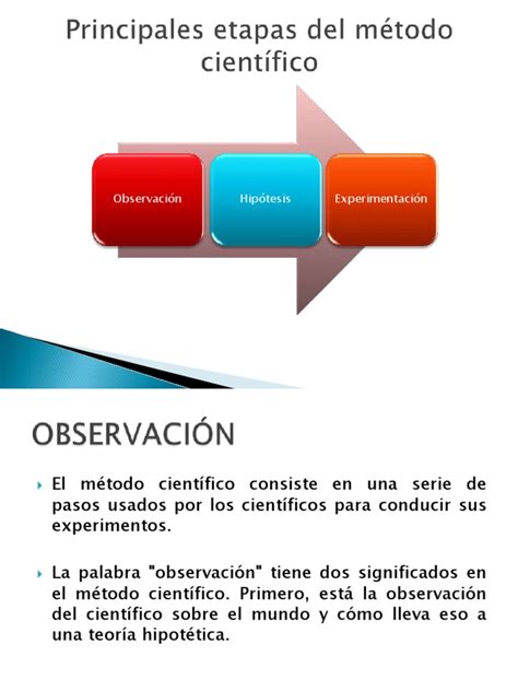 Principales Etapas Del Método Científico Teoría Ciencia