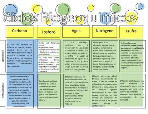 Cuadro Comparativo De Los Ciclos Biogeoquimicos Element