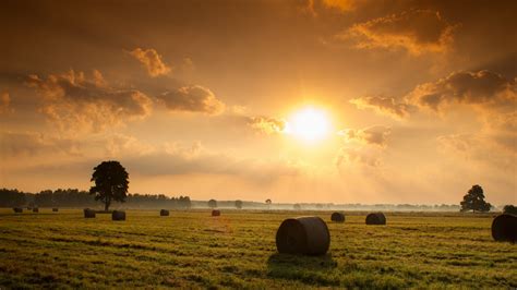 Sunset Field Hay Nature Landscape Wallpapers Hd Desktop And