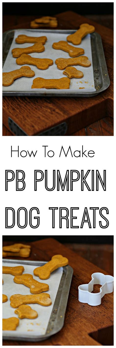 How To Make Peanut Butter Pumpkin Dog Treats Recipe Pumpkin Dog