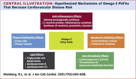 Cardiovascular Impact Of Nutritional Supplementation With Omega 3 Fatty