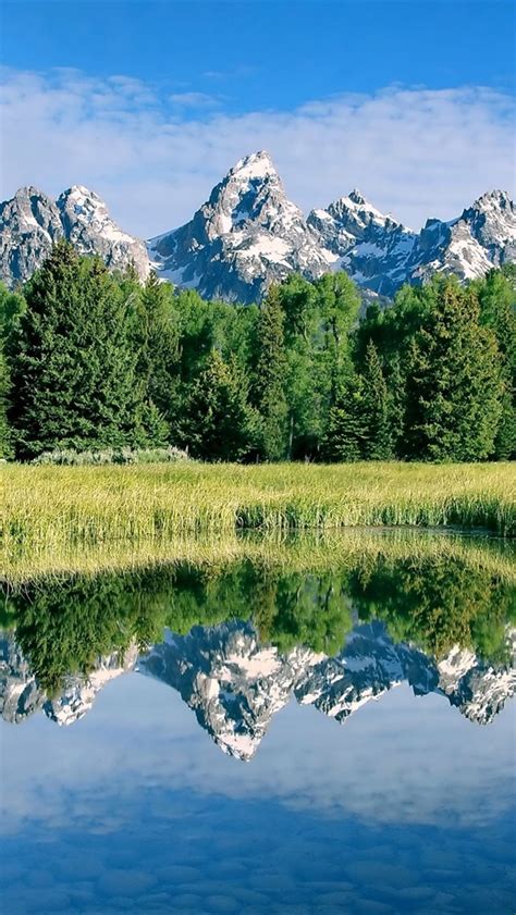 Stunning Scenery Mountains Lake Plants Trees Water