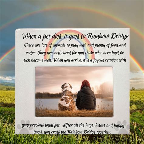 Secvenţă Windswept Neatenție To Cross The Rainbow Bridge Cât De Des