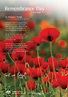 70 Best Remembrance Day Greeting Pictures And Photos