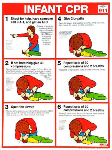 Infant CPR FIRST AID Instructional Wall Chart X POSTER ARC AHA Guidelines EBay