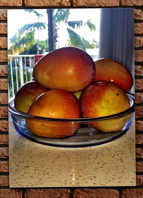 Key west may be a tiny island, but its cuisine can compete with the biggest cities when it comes to delicious food. Key West Mangoes are simply THE best ... Forever on my ...