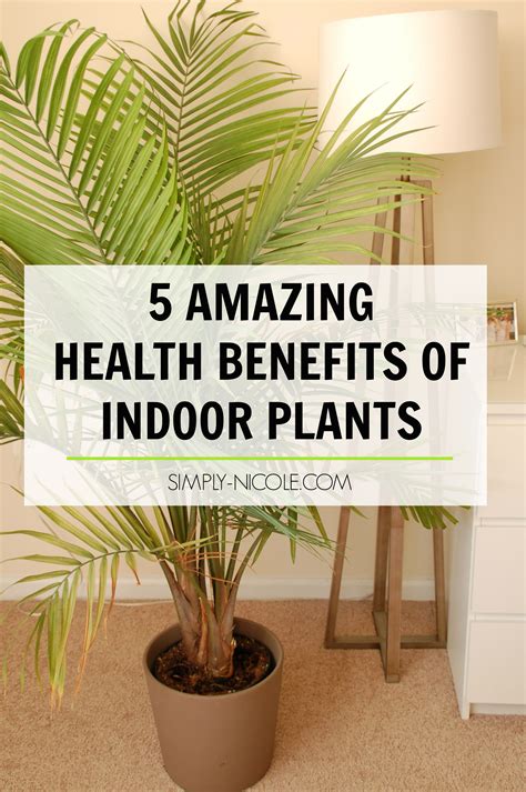 Not only do plants increase the oxygen in our homes, but their root systems are incredibly effective at removing volatile organic compounds (vocs). 5 Amazing Health Benefits of Indoor Plants - Simply Nicole