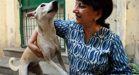 The Largest Animal Shelter In Noida Needs Your Help To Give A Home To