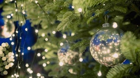 Poin kedua mengucapkan selamat natal dianjurkan untuk tidak dilakukan karena merupakan bagian dari perkara kegiatan perayaan natal, agar umat islam. Ucapan Natal Untuk Mama Dan Papa : 10 Puisi Bertema Natal ...