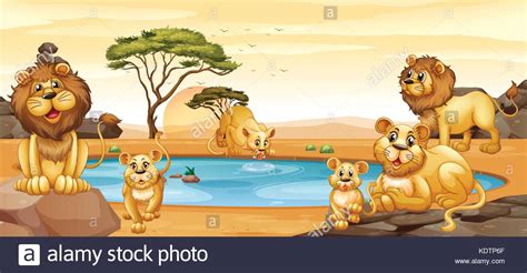 Clipart Lions Hi Res Stock Photography And Images Alamy