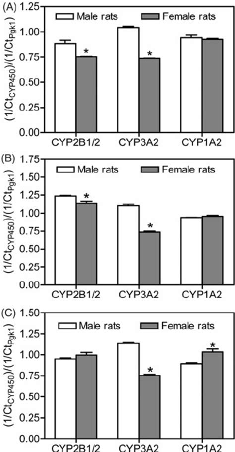 Sex Differences In Hepatic Cytochrome P450 Transcript Levels In Rat Download Scientific Diagram