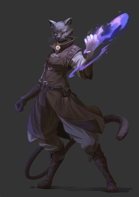 Rf Mythic Tabaxi Wild Sorcerer Characterdrawing Fantasy