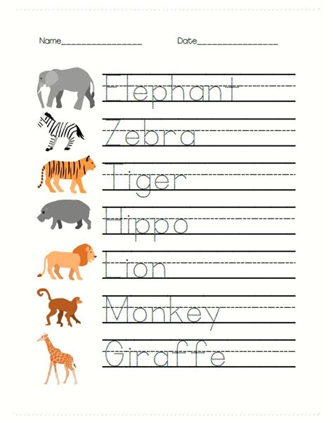 Safari Printables For Preschool Aadencameron