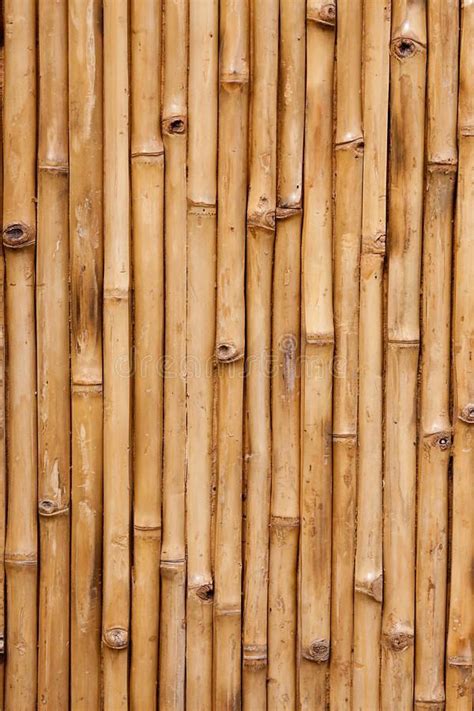 Pin By Marusyaart On Details Texture Bamboo Texture Bamboo Background