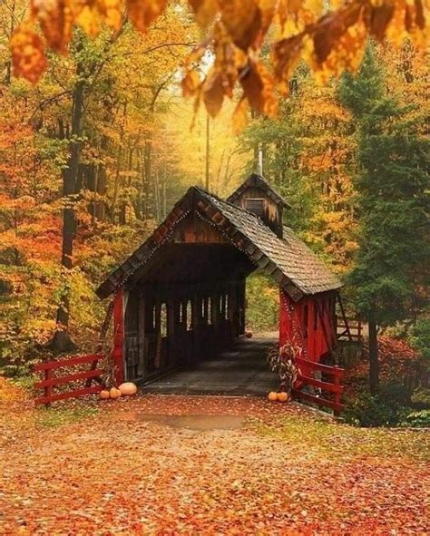 Pin By Rigel J Dawson Wisdom Insp On Fall Covered Bridges Autumn