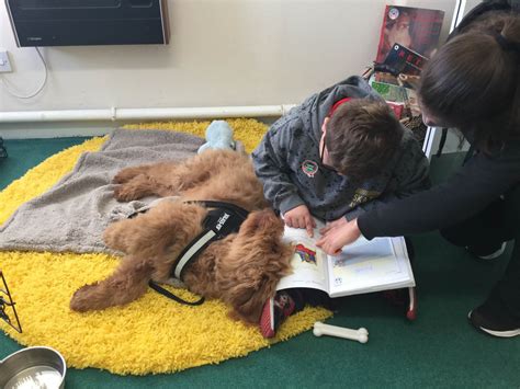 Federation Of Northern Schools School Therapy Dog