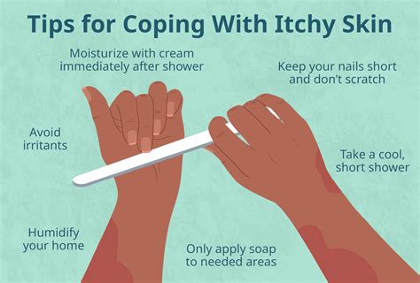 what to eat to stop itching natural remedies for instant relief