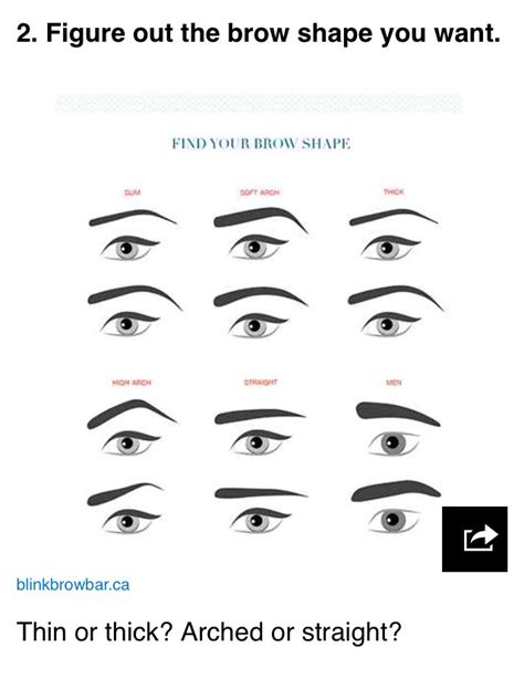 eyebrow diagrams that will explain everything to you musely