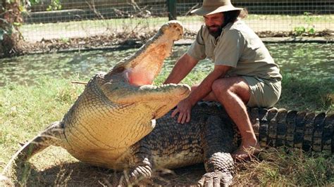Crocodile Attack Queensland Man Seriously Hurt In Attack At Bloomsbury