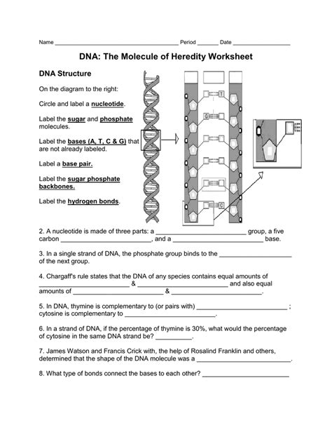 In the dna analysis gizmo™, you will analyze partial dna sequences of frogs. worksheet. Dna The Molecule Of Heredity Worksheet Key ...