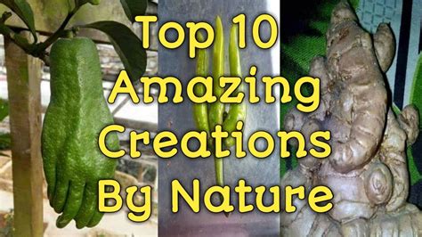 Top 10 Amazing Creations By Nature Youtube