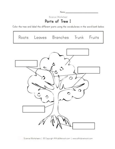 Parts Of A Tree Worksheet Kindergarten Worksheets Plants Worksheets
