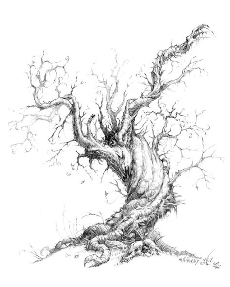 Forest Pencil Drawing At Getdrawings Free Download