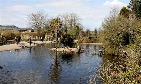 The law of attraction planner contains fillable fields that can be filled using your pdf reader software of choice. Comber 2021: Best of Comber, Northern Ireland Tourism ...