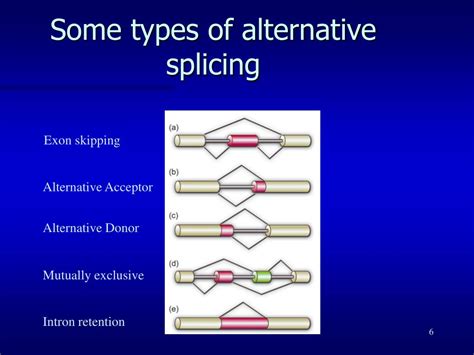 ppt alternative splicing powerpoint presentation free download id 6055867