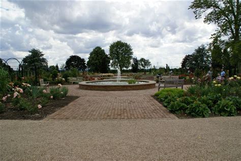 Visit To Royal National Rose Society Gardens St Albans Bedford