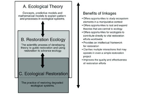 2 The Relationship Between Ecological Theory Restoration Ecology And