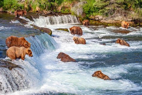 19 Top Rated Tourist Attractions In Alaska Planetware