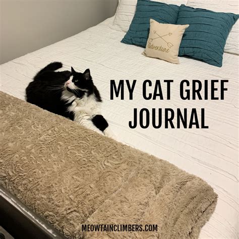 My Cat Grief Journal Meowtain Climbers