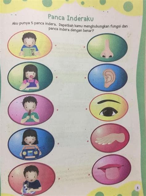 Mewarnai Gambar Panca Indera Mewarnai Gambar Hidung Untuk Anak Tk