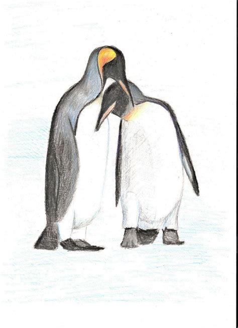 Пингвины Картинки Карандашом Telegraph