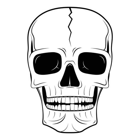 Black And White Skull Drawing 17710659 Vector Art At Vecteezy